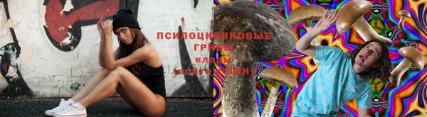 гидра Беломорск