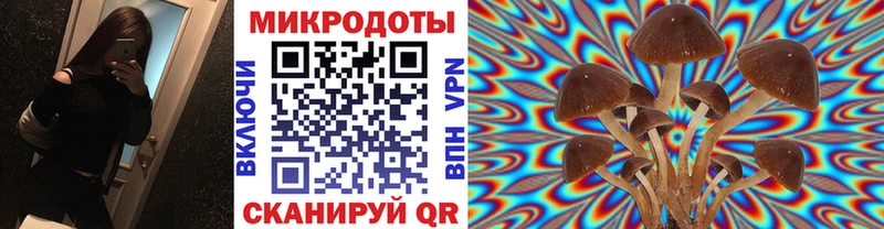 Псилоцибиновые грибы мухоморы  где продают   Волжск 